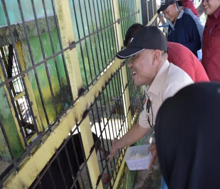 Wabub Bengkalis Dr Bagus Santoso meninjau kebun binatang di Pantai Indah Selat Baru (foto/zulkarnain)